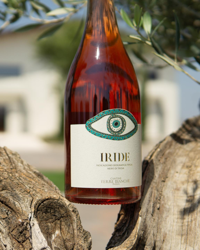 Images Cantine Terre Bianche Cappabianca