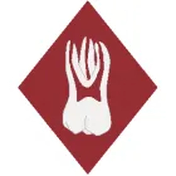 Advanced Care Endodontics