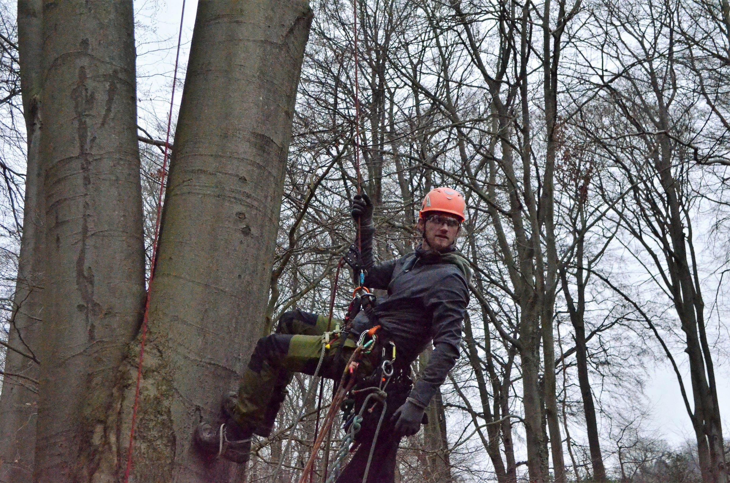 Baum & Natur, Richrather Weg 119 in Velbert