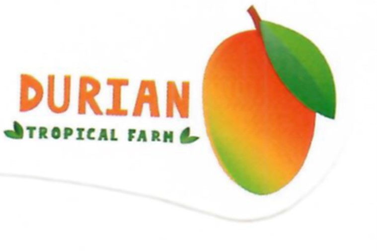 Images Finca Durian