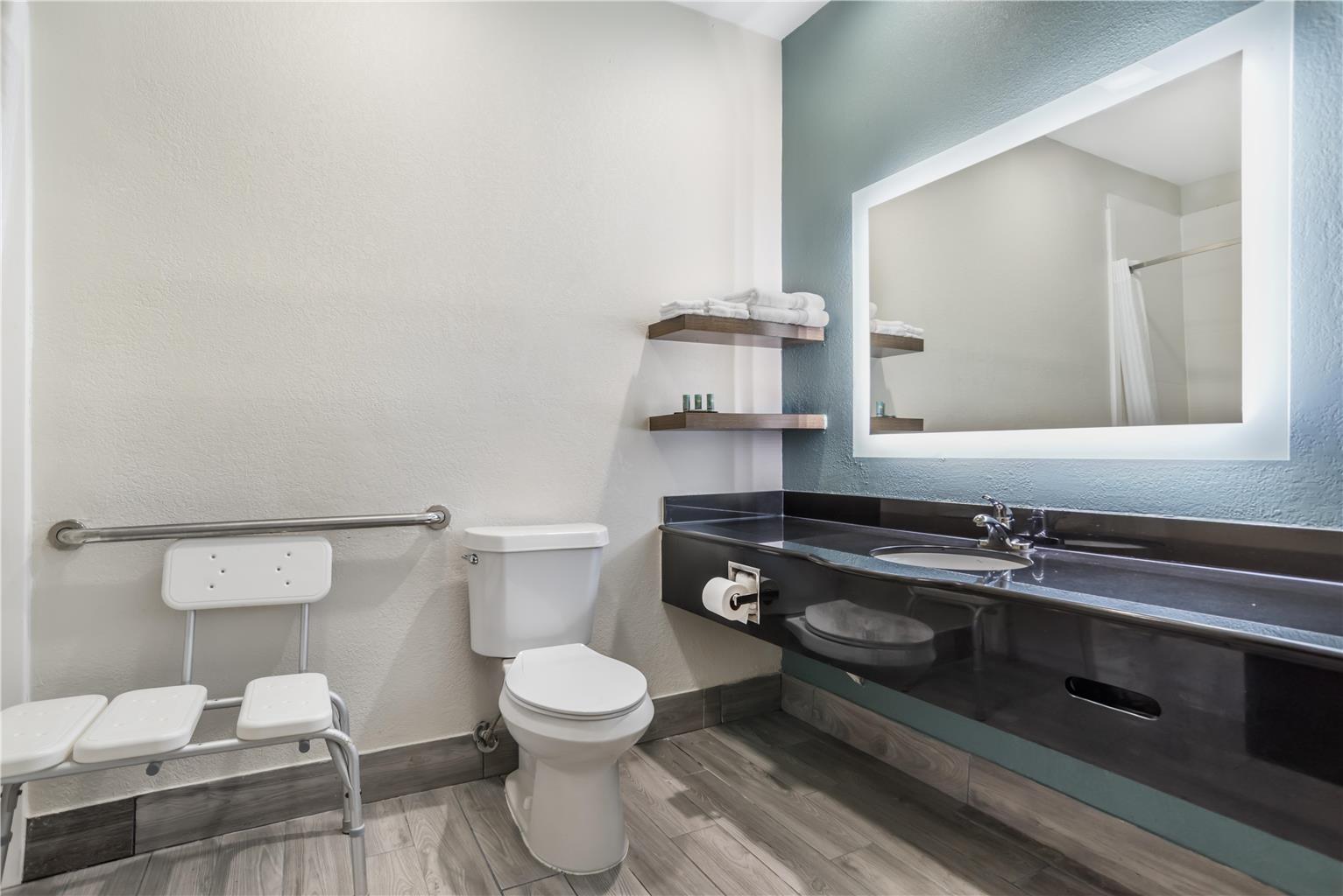 ADA Standard King Bathroom