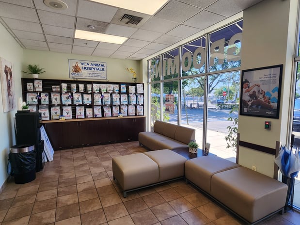 Images VCA Stirling Square Animal Hospital