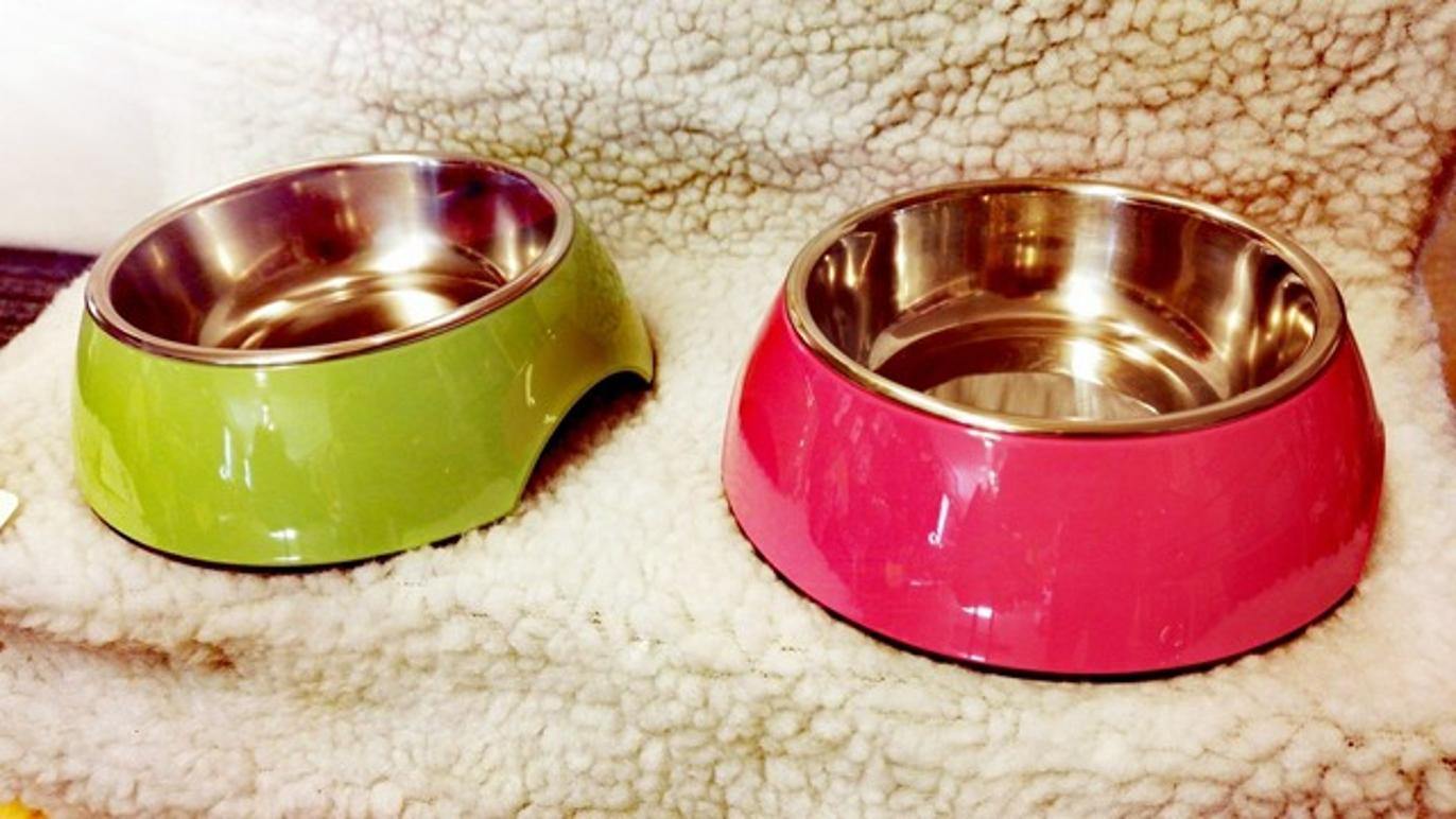 Images Ingvallstorp Häst och Fritid