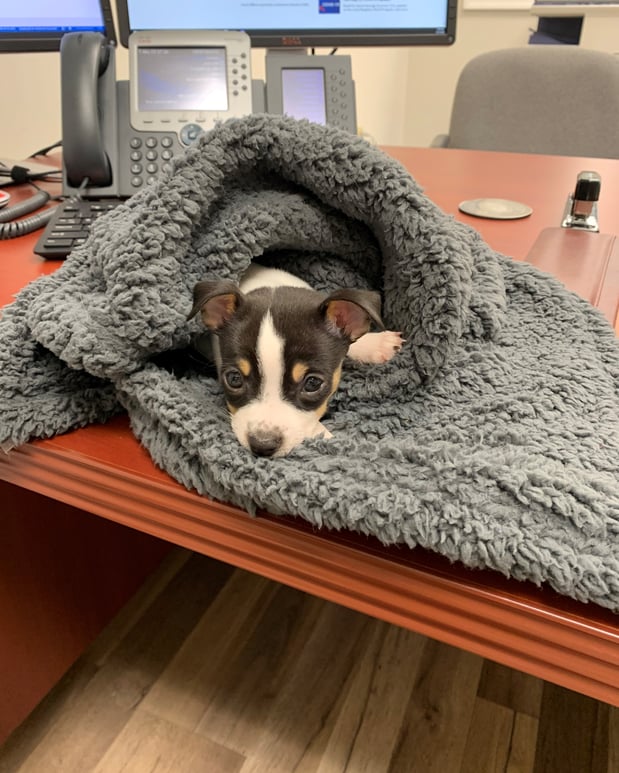 Images Mark Wilkinson - State Farm Insurance Agent