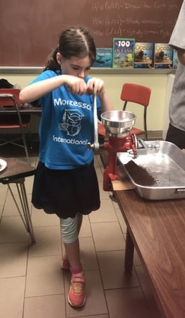 Images The Montessori School of New York International