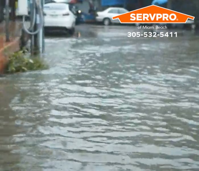 Heavy Rains Cause Water Damage in Miami?