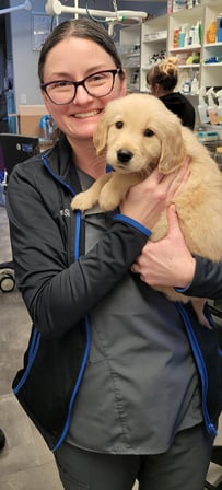 Images VCA Peone Pines Animal Hospital