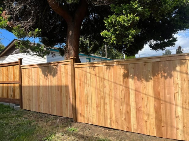 Images Tidy Beaver Fencing - Fence and Gate Contractor