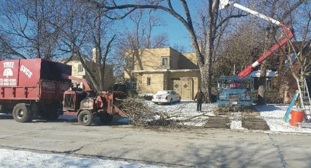 Images Meca Tree Service