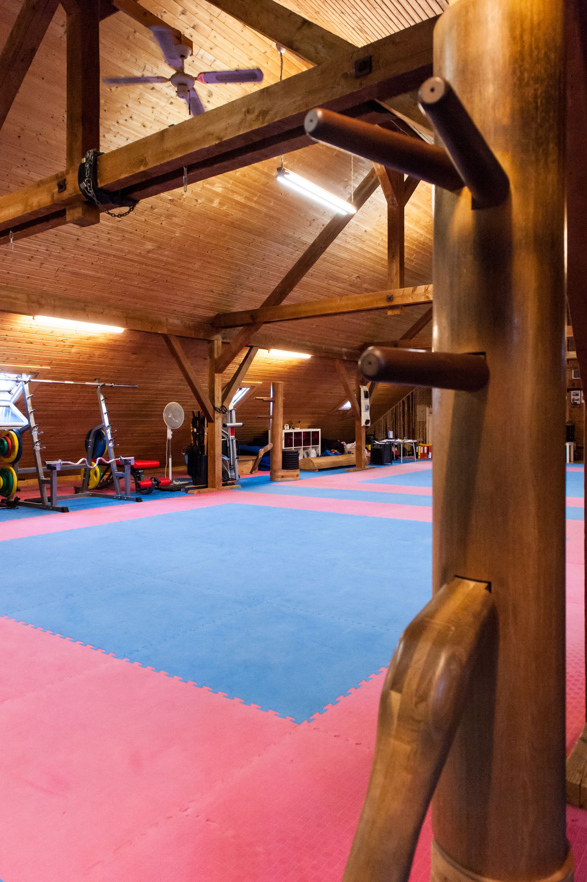 Bilder SUN WU Gongfu Schule Zürich