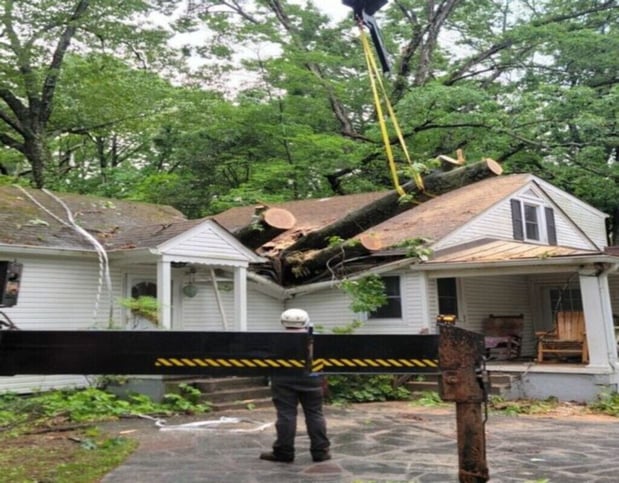 Images Jay's  Tree Service