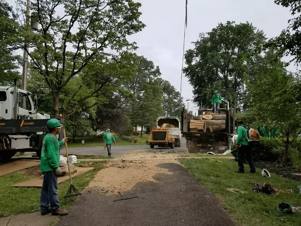 Images Lopez Tree Services