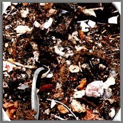 Rupert Bittl GmbH, Triebstrasse 41 in München