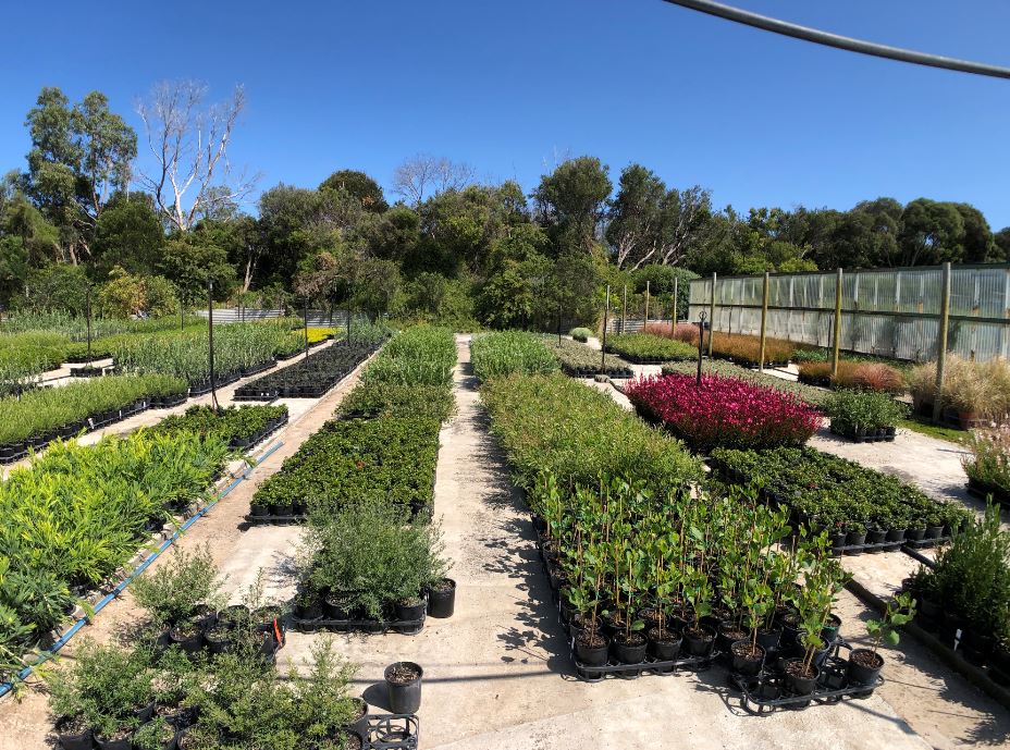 Images Glenvue Nursery