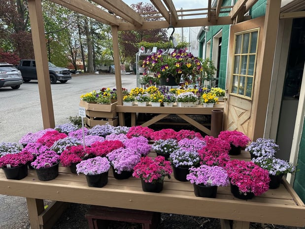 Images Puritas Nursery & Garden Center