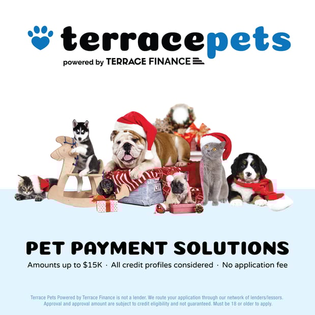 Images VanBlargan German Shepherds