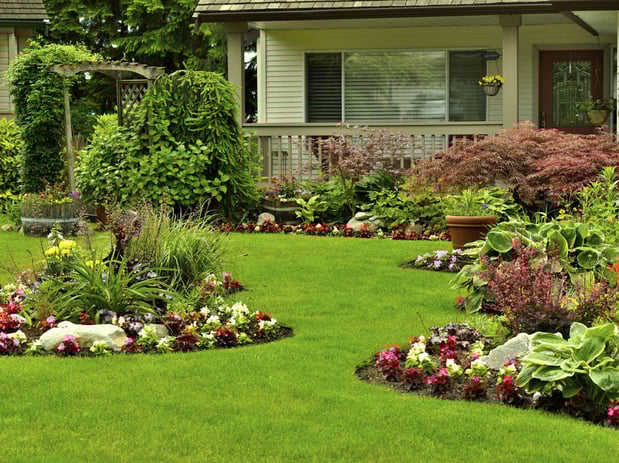 Images Staccato Landscaping & Irrigation