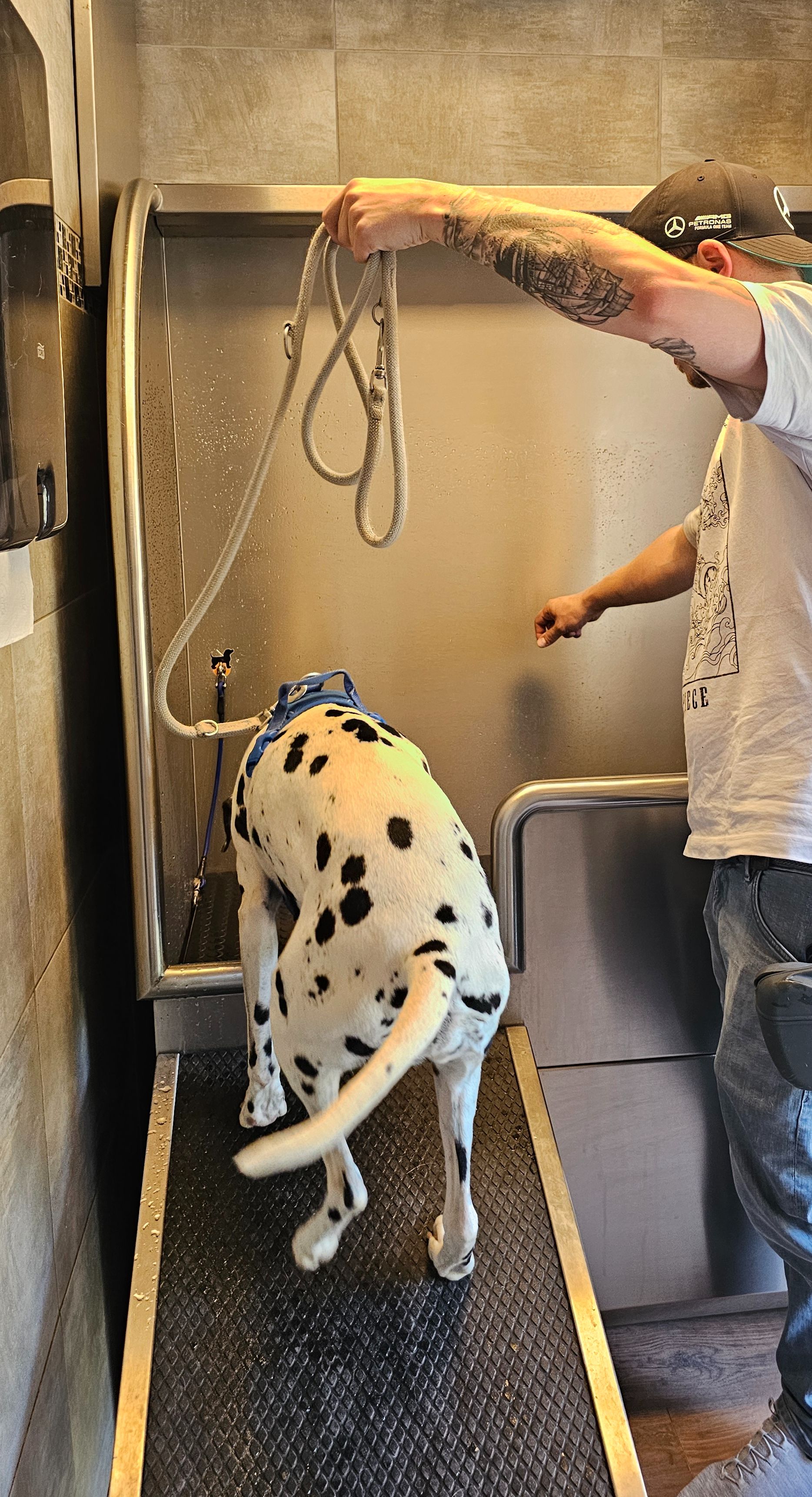 Bild 1 von Wuffio Hundewaschplatz