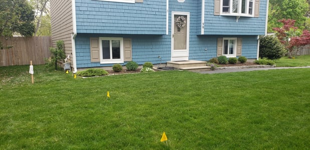 Images AAA PROFESSIONAL LAWN CARE