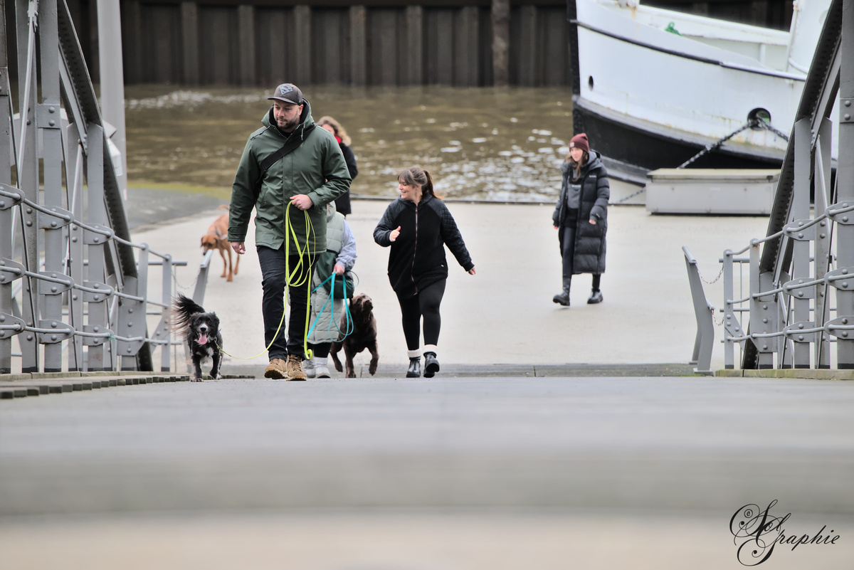 PawlityTime- Hundeschule Hamburg, Suhrenkamp 26 in Hamburg