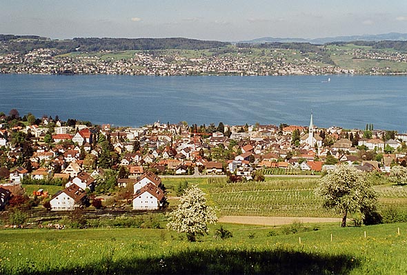 Bilder Stadt Wädenswil