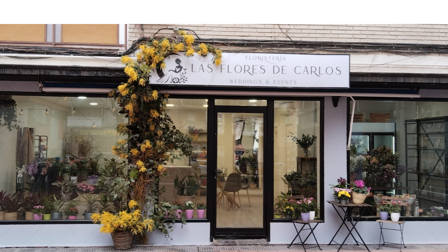 Images Las Flores de Carlos