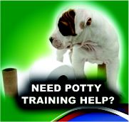 Need potty training help