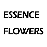 Essence Flowers