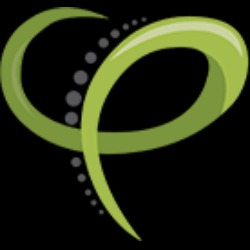 Chiropractix Logo