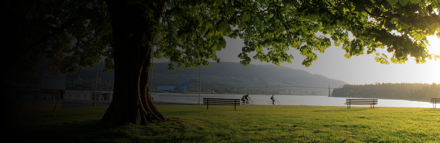 A calming park by the water with bikers.