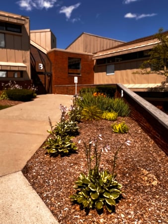 Images Bright Spot Counseling and EMDR Treatment Center