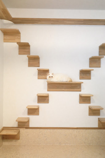 Images ケアホームPooch