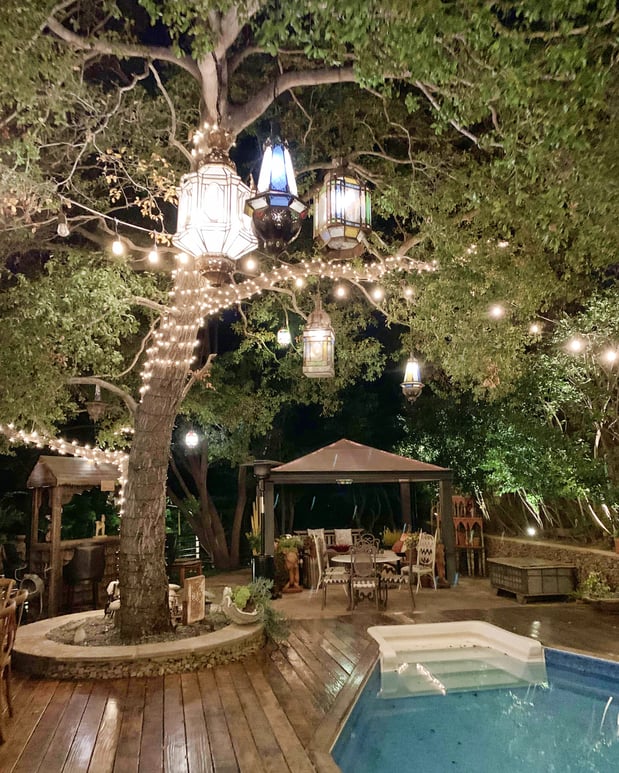 Images The Houdini Estate