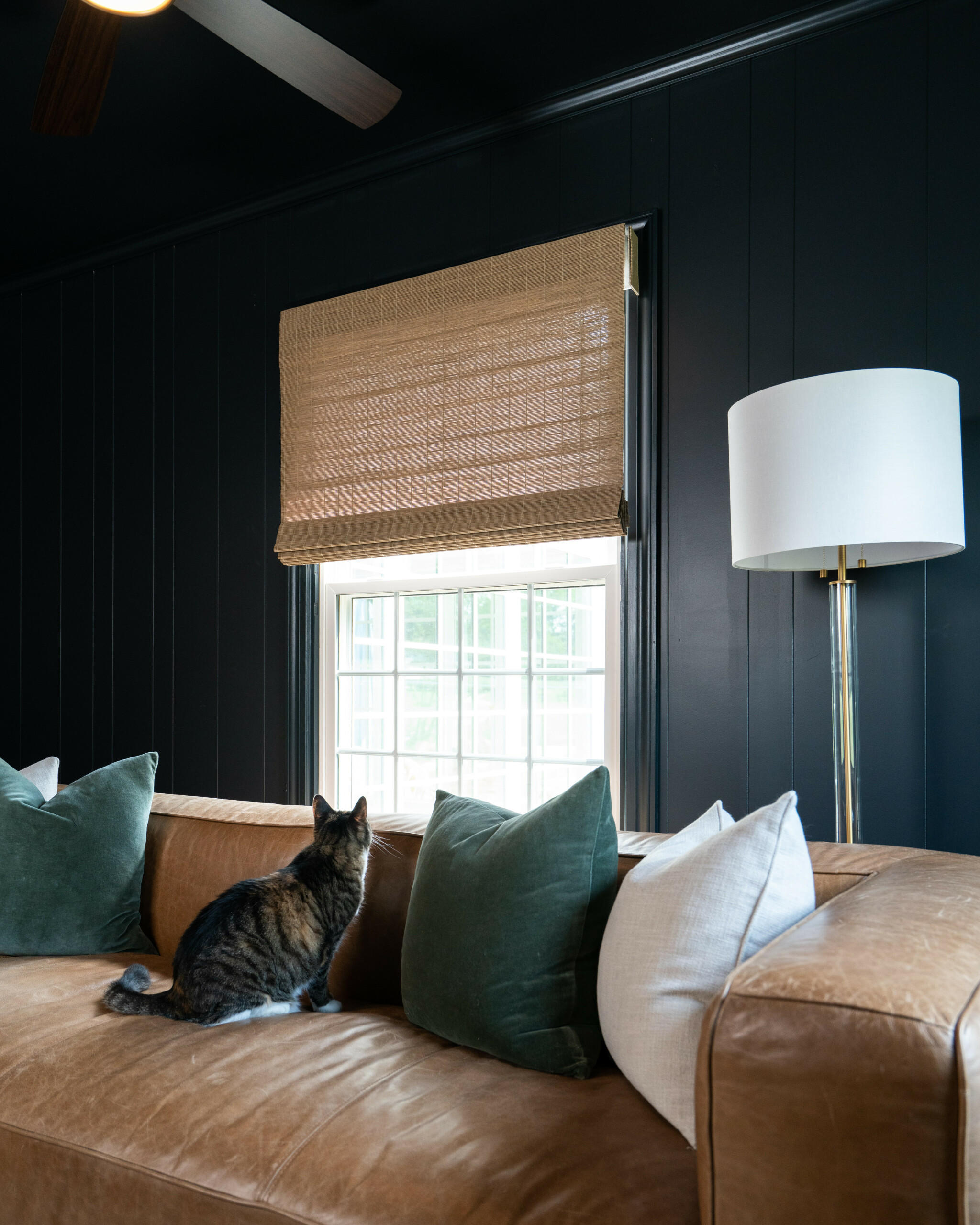 Budget Blinds of South East Calgary in Calgary: Pet Friendly Motorized Woven Wood Shades