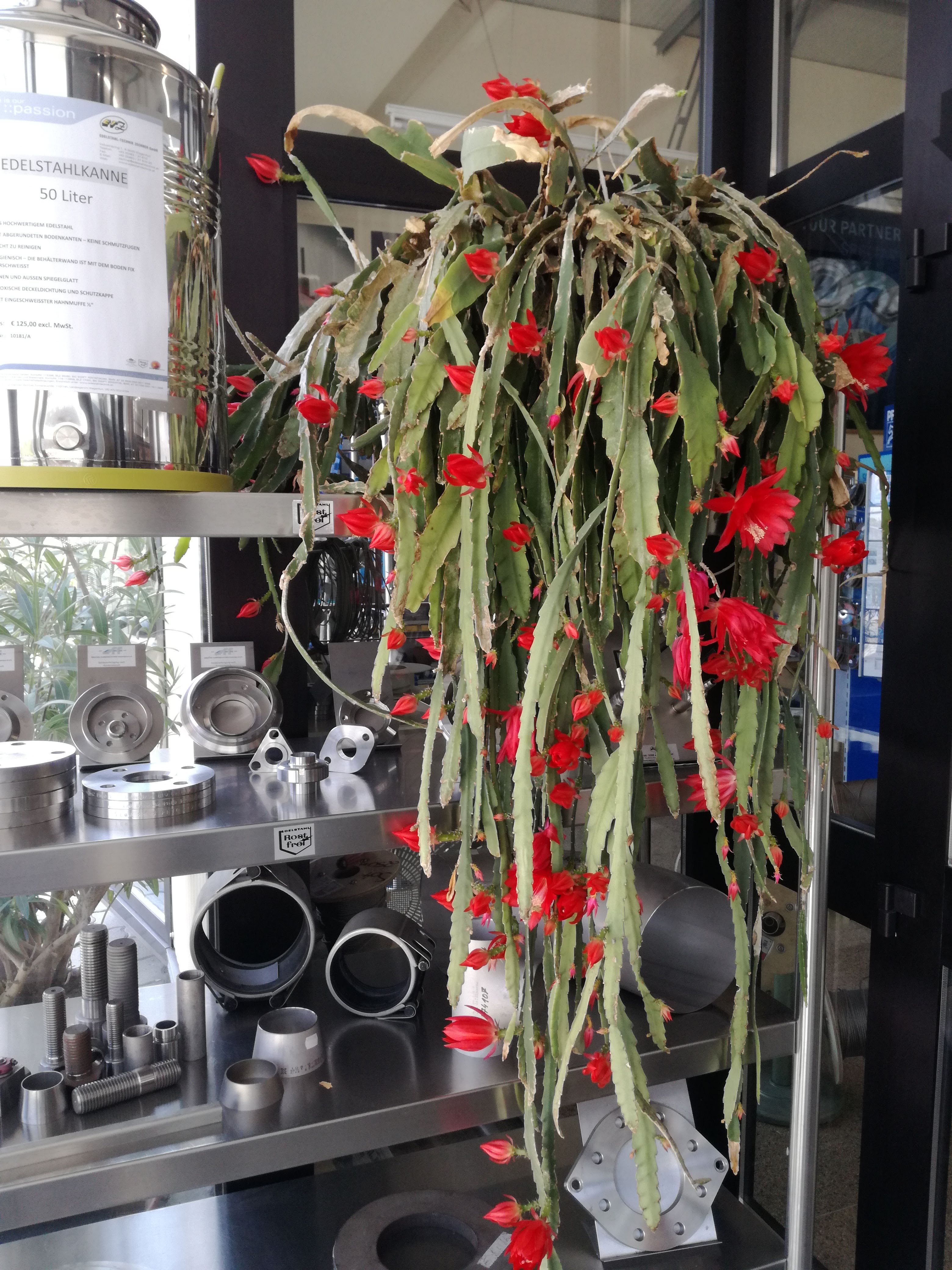 Edelstahl-Technik Zechner GmbH, Industriering 1 in Klagenfurt