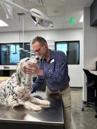 Images Liberty Hill Animal Hospital
