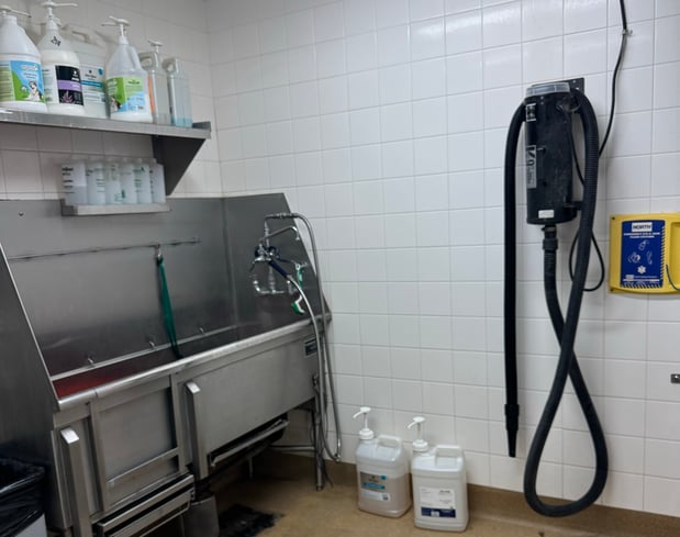 Images Petco Grooming