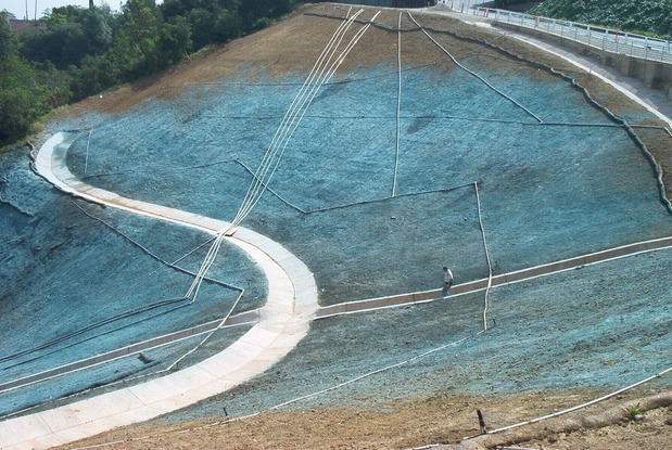 Images Bill's Hydroseed