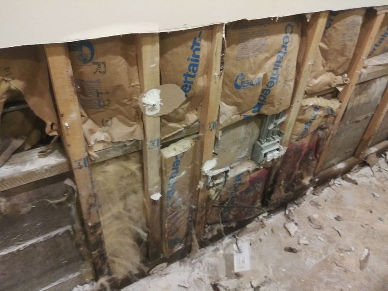 Images Simply Mold Gone