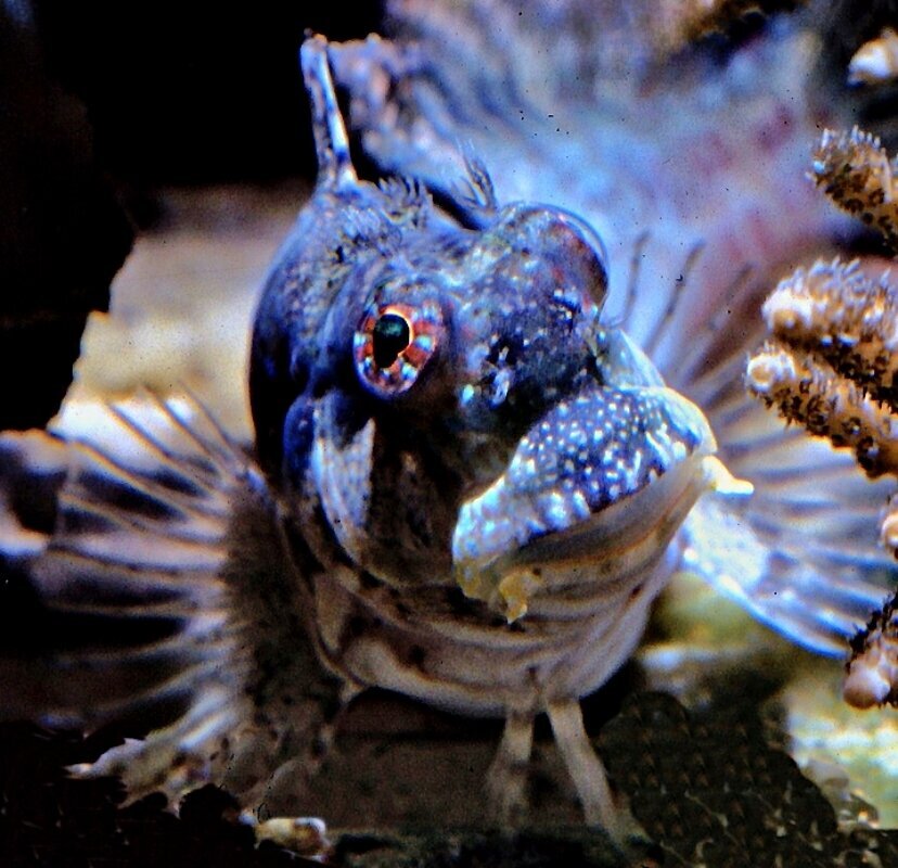 S&L Naturverlag, Bergrat-Mahr-Straße 17 in Ilmenau