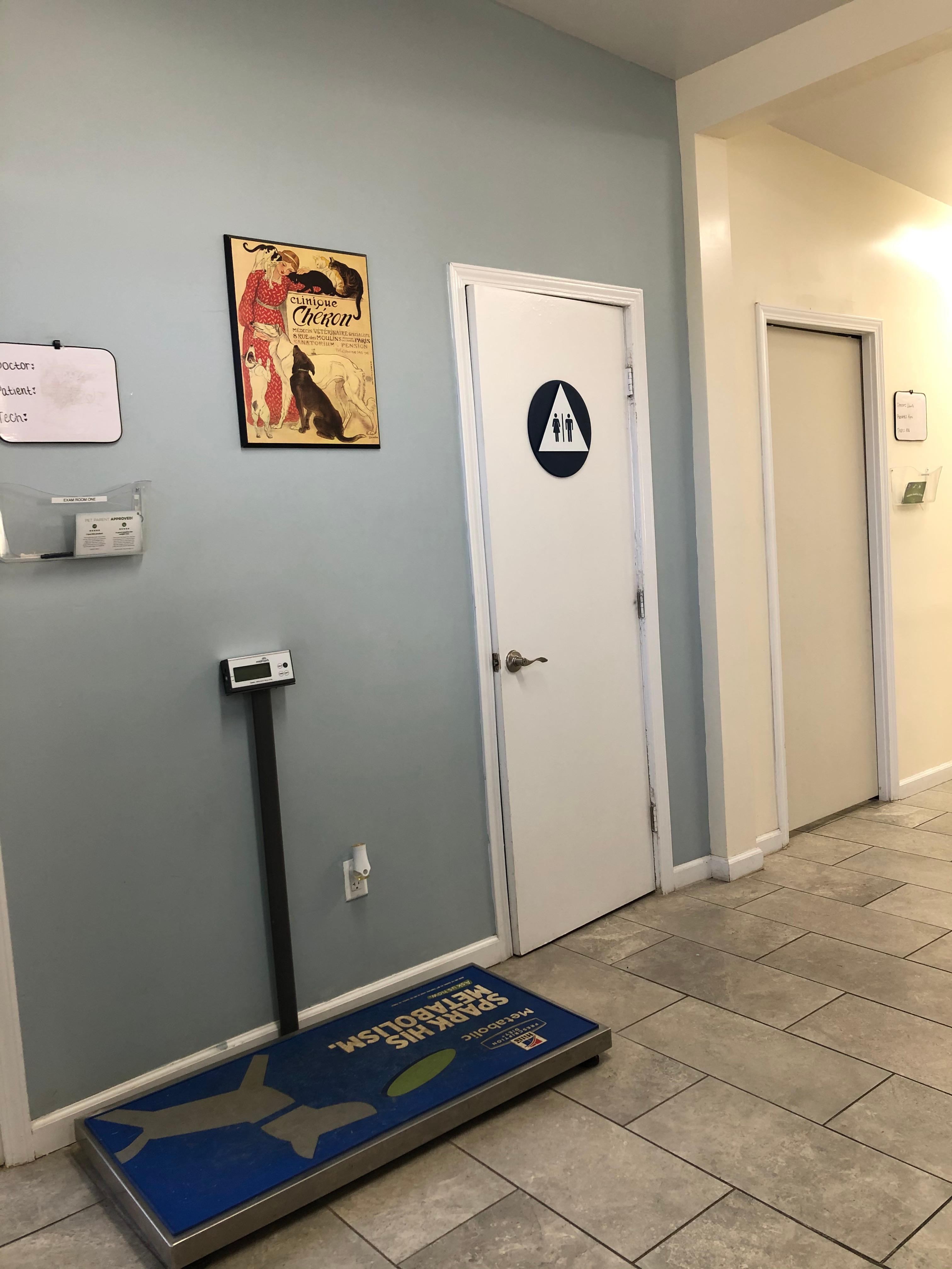 All Creatures Veterinary Hospital