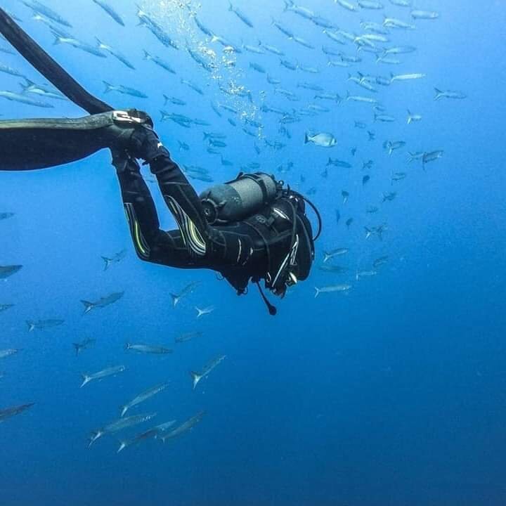 Images CENTRE D'IMMERSIÓ CAP DE CREUS