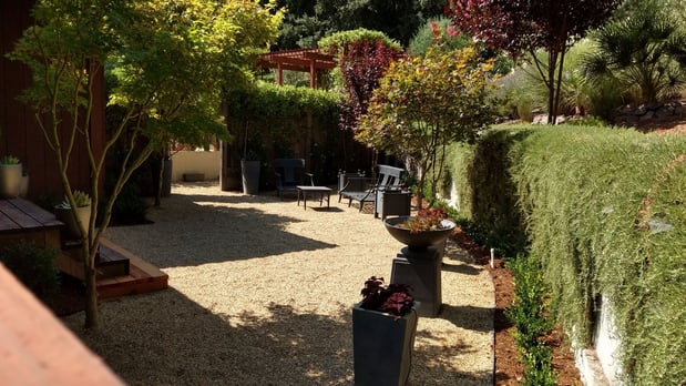 Images Paz Landscape