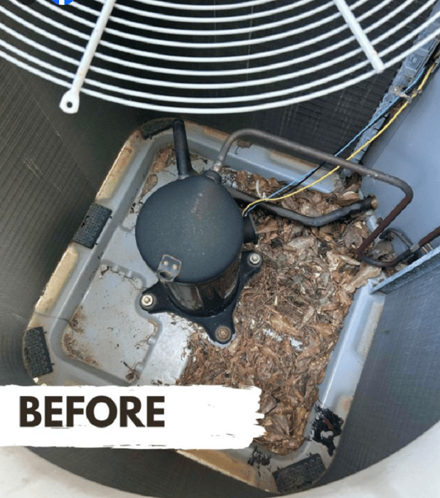 Images Air Experts