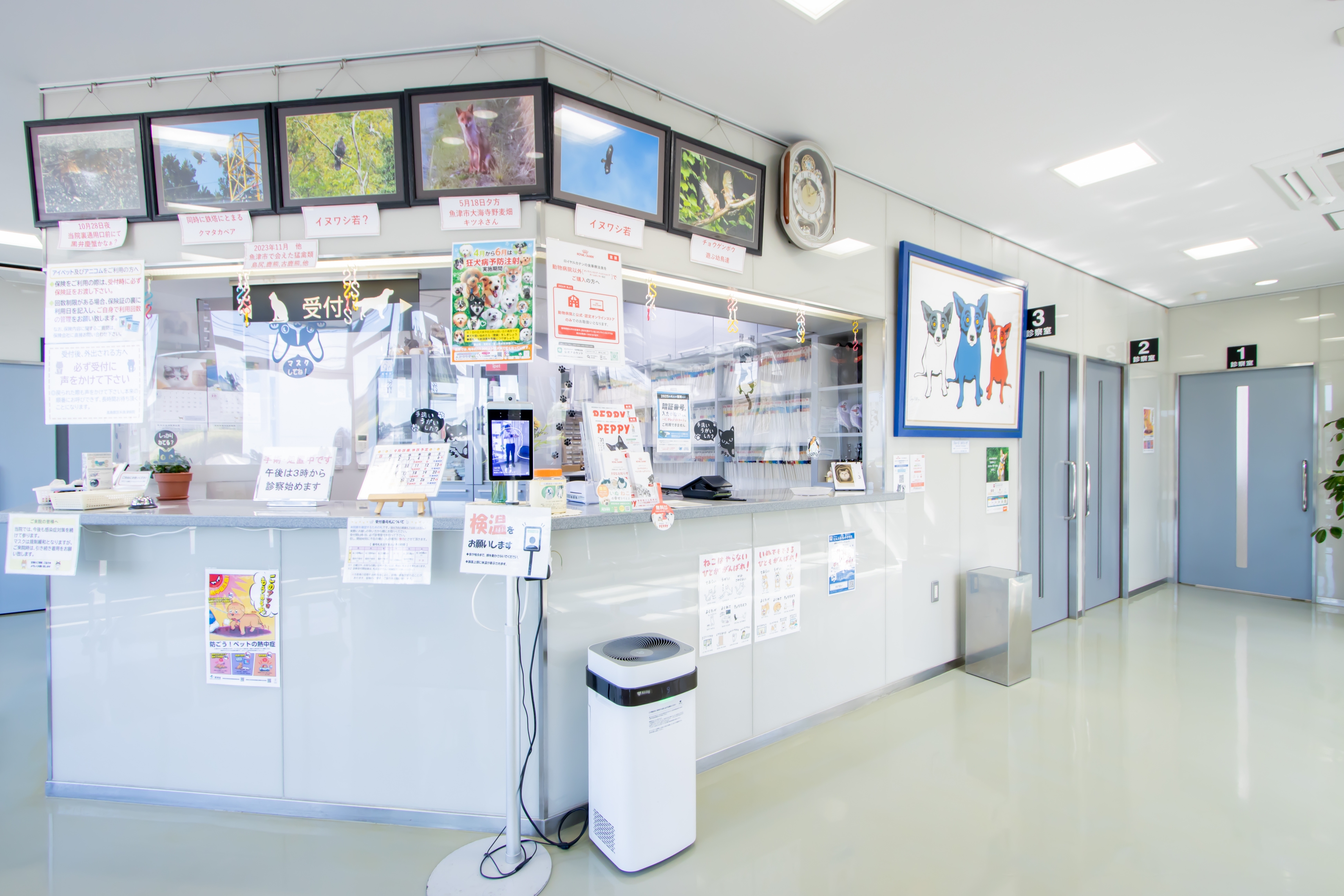 Images 高島獣医科魚津病院