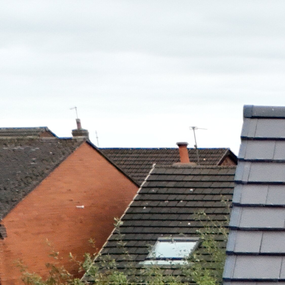 Images Steve Emery Roofing Ltd.