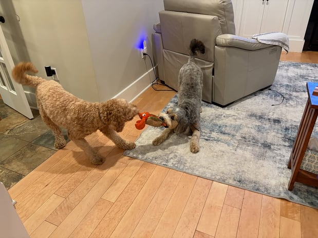 Images Julie Francis - State Farm Insurance Agent