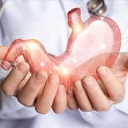 Images Doutor José Pires