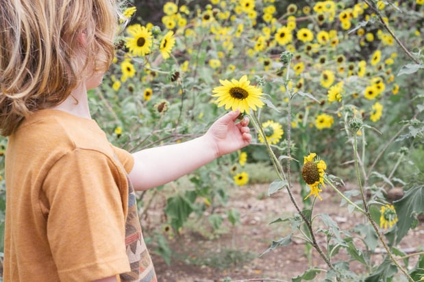 Images A Joy Story Photography