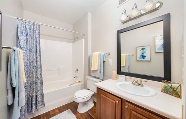 Images MAA Beaver Creek